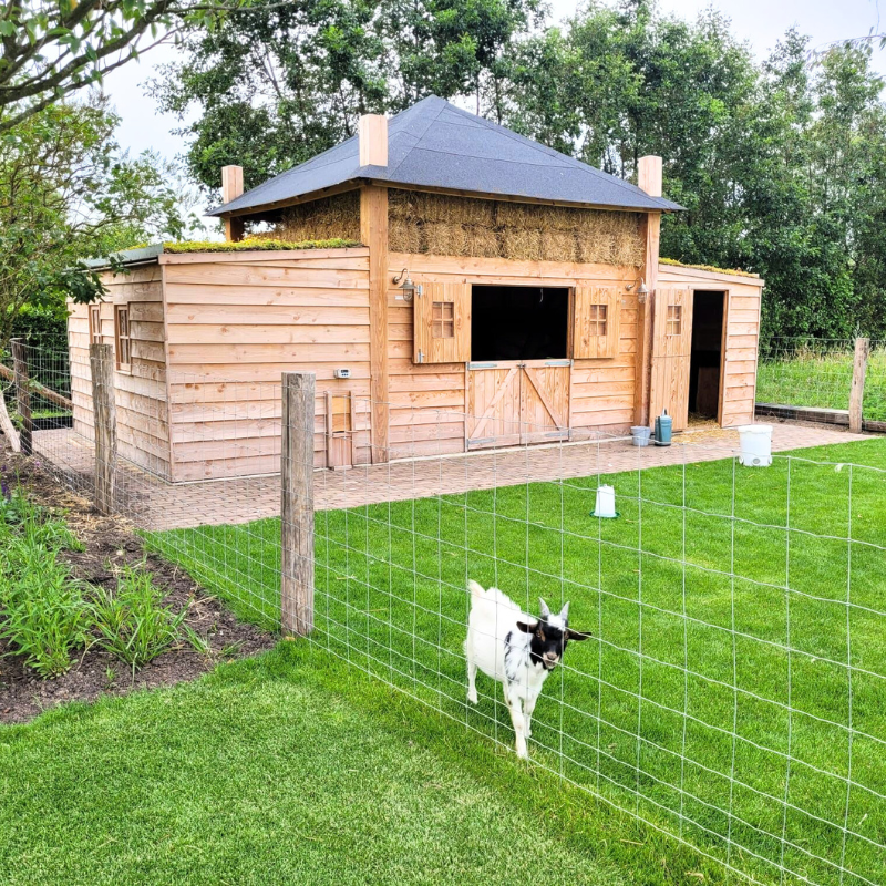 Hooiberg kippenhok én geitenhok met schuur