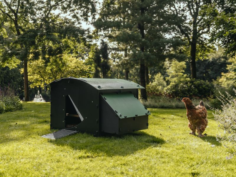 Kan het legnest van een kunststof Nestera kippenhok aan de andere kant?