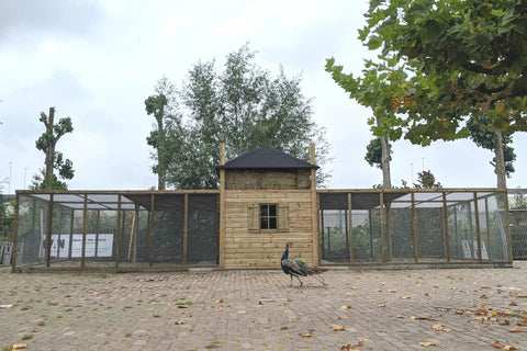 Groot Kippenhok Hooiberg met dubbele ren voor Kinderboerderij Otterspoor