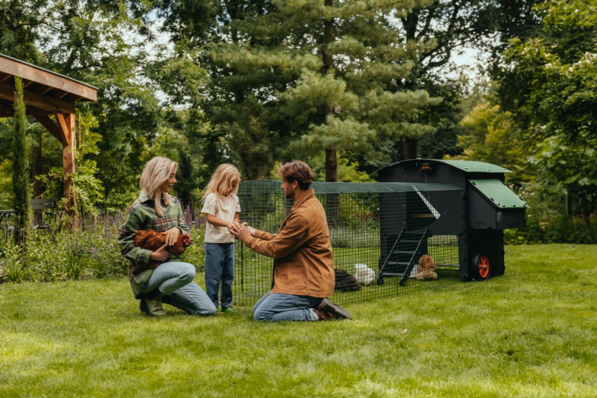 Kunststof kippenhok Omlet & Nestera: wat zijn de verschillen?
