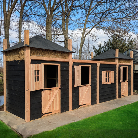 Kippenhok Hooiberg en Houten Schuur Bouwpakket Danielle