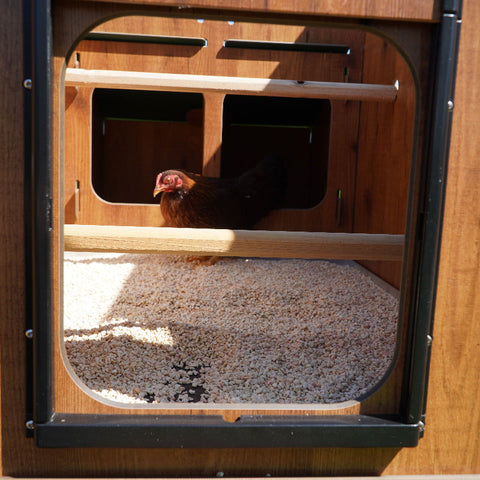 Cucciolotta classic L kippenhok binnenkant