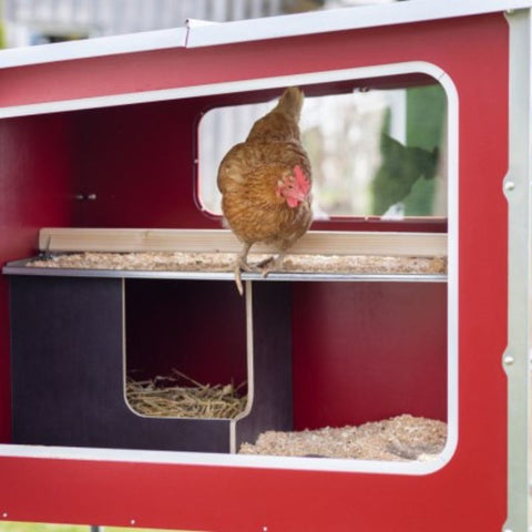 Houten kippenhok Kerbl op wielen - 113x92x138cm