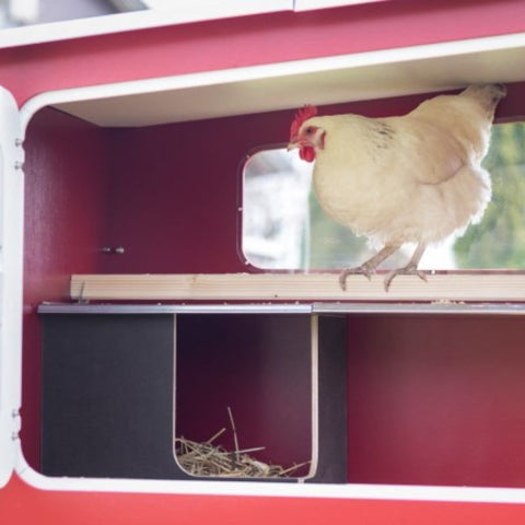 Houten kippenhok Kerbl op wielen - 113x92x138cm