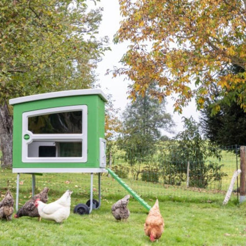 Kunststof kippenhok Kerbl op wielen - 119x96x162cm