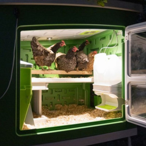 Kunststof kippenhok Kerbl op wielen - 119x96x162cm