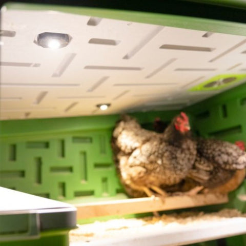 Kunststof kippenhok Kerbl op wielen - 119x96x162cm