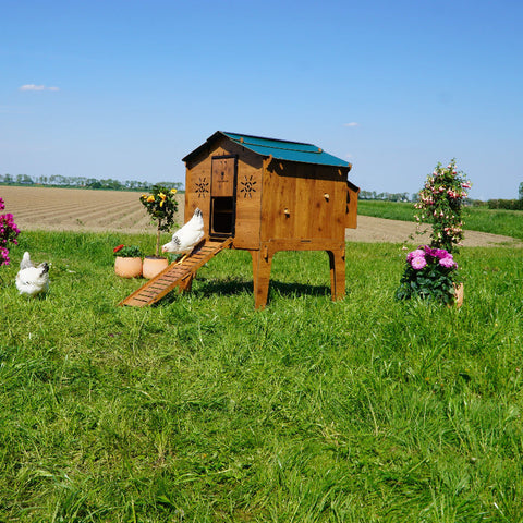 Kippenhok Cucciolotta kippenhok buiten