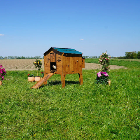 Kippenhok Cucciolotta Duplex buiten in weiland