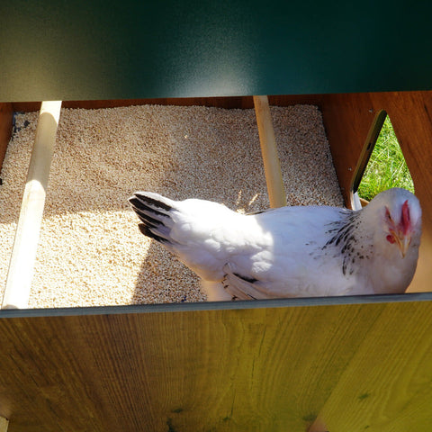 Kippenhok Cucciolotta Duplex binnenkant kippenhok