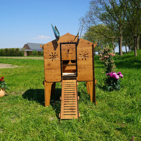 Kippenhok Cucciolotta vooraanzicht buiten