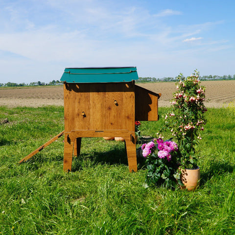 Kippenhok Cucciolotta zijkant buiten 