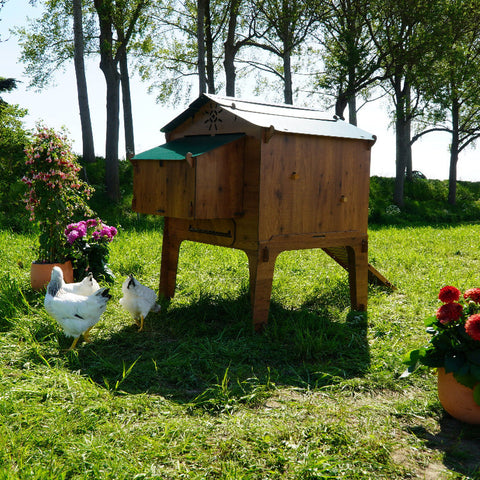 Kippenhok Cucciolotta zijkant buiten kippen