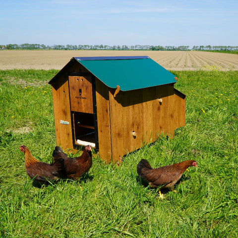 Kippenhok_Cucciolotta_Polly_Classic