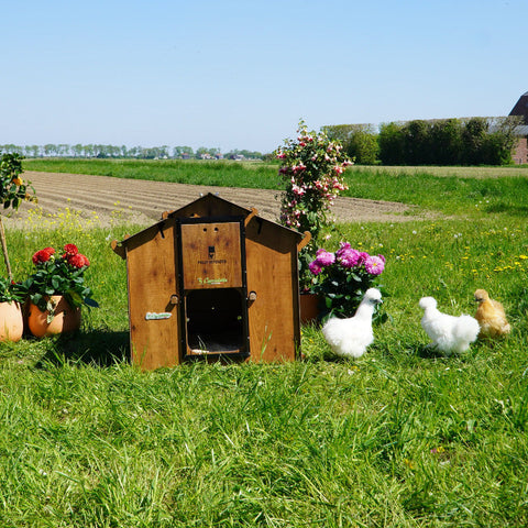 Kippenhok_Cucciolotta_Polly_Farm_Mignon_voorkant buiten met kippen