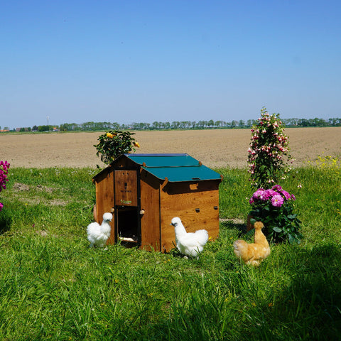 Kippenhok Cucciolotta Polly Farm Mignon tuin kippen