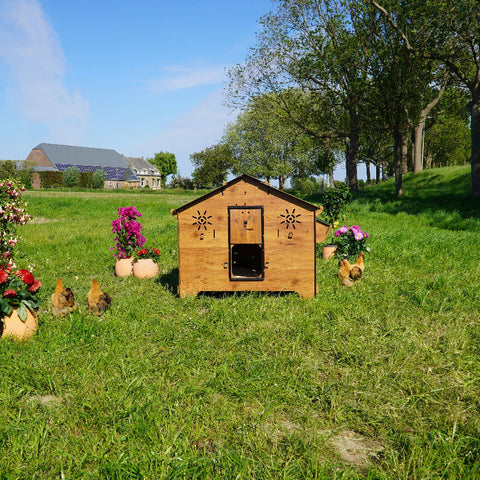 Cucciolotta Polly Farm Evolution  met automatische deuropener en legnest – duurzaam HPL, onderhoudsvrij en geschikt voor 10 tot 15 kippen.