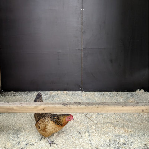 Betonplex binnenwanden hooiberg Jan