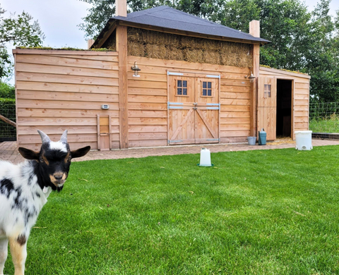 Kippenhok hooiberg van 4x4 meter