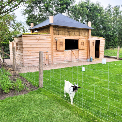 Kippenhok Hooiberg Bouwpakket Brian - 500x500x480cm