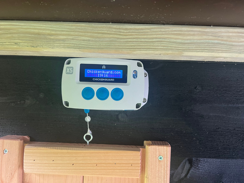 (Combideal) Handmatig luik Douglas hout +  Automatische kippenhok opener (PRO) van Chicken Guard