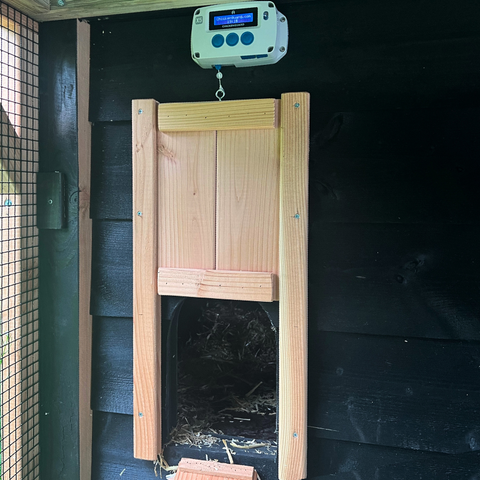 (Combideal) Handmatig luik Douglas hout +  Automatische kippenhok opener (PRO) van Chicken Guard