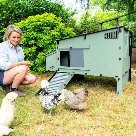 Kunststof Kippenhok met kippenren Nestera: Aspen 10