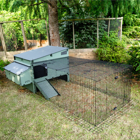 Kunststof Kippenhok met kippenren Nestera: Aspen 10