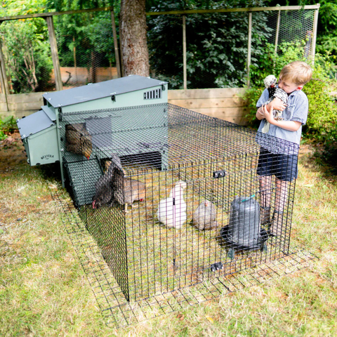 Kunststof Kippenhok met kippenren Nestera: Aspen 10
