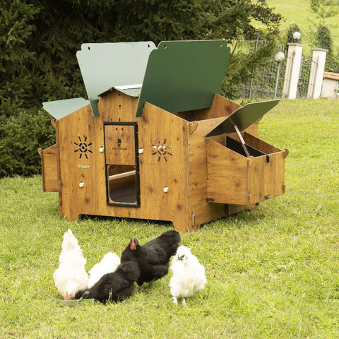 polly chalet kippenhok buiten met kippen