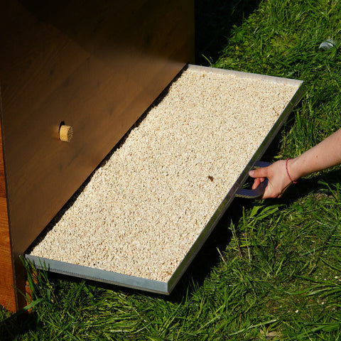 Pollyclassicxxl_2 grind bak 