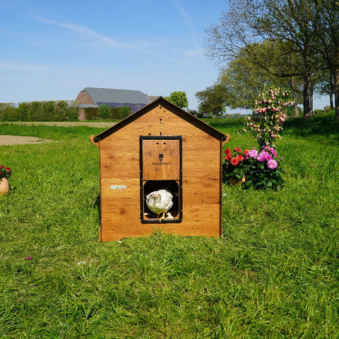 Pollyclassicxxl_2 vooraanzicht buiten kippen 