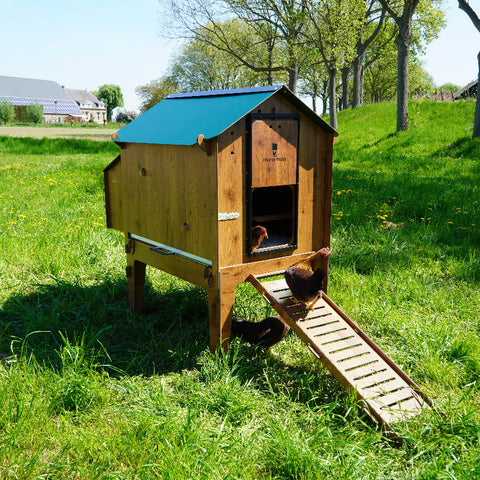 l cucciolotta kippenhok verhoogd buiten voorkant