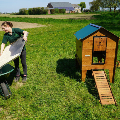 vrouwkruiwagenbuitenmetkippenok