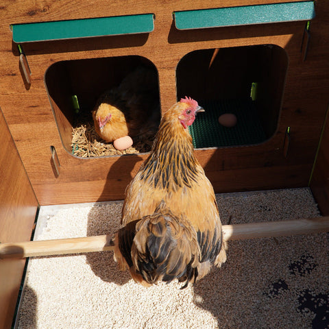 binnenkant cucciolotta classic xl hoog 