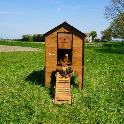 Chalet XL kippenhok buiten voorkant eenvoudig schoon te maken.