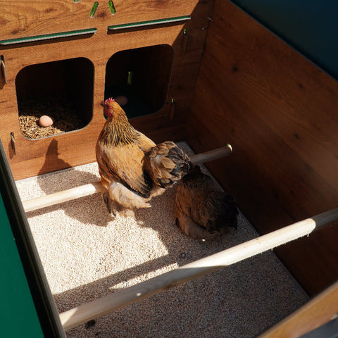 binnenkant cucciolotta classic xl hoog 