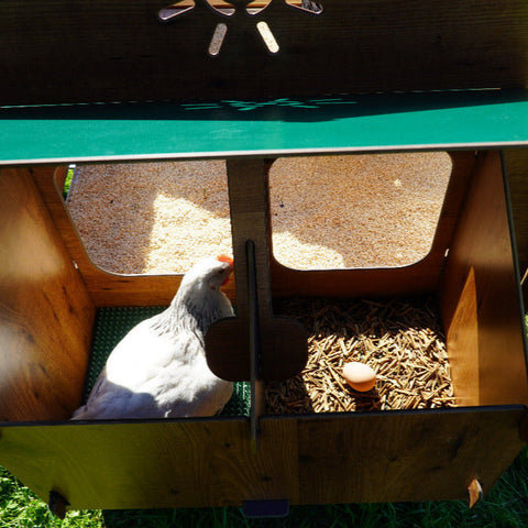 Interieur legnest Chalet 2XL kippenhok met kip