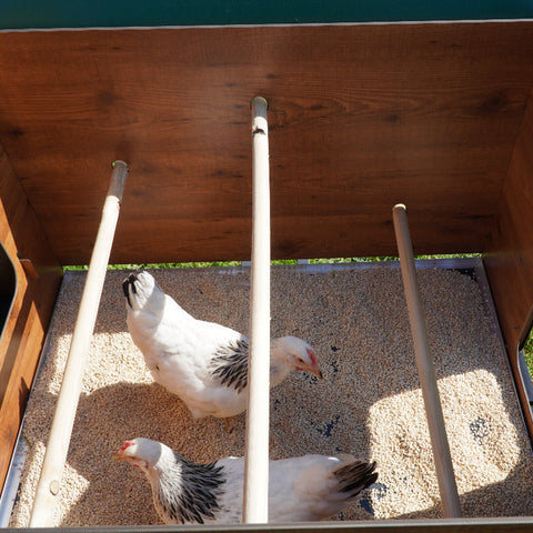 Interieur Chalet 2XL kippenhok met uitneembare zitstokken en legnest – eenvoudig schoon te maken