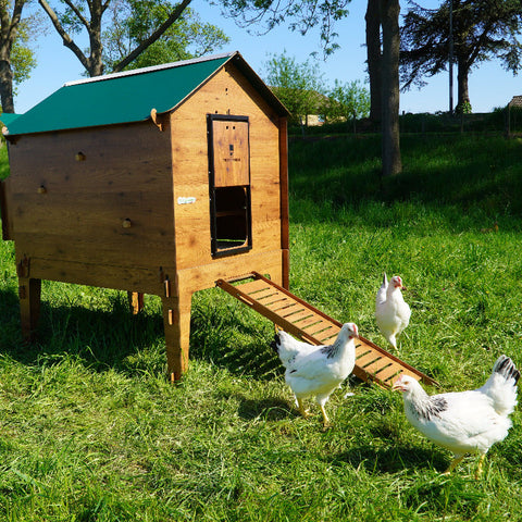 kippenhok met onderstel zijaanzicht cucciolotta classic 