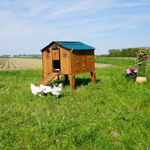 Cucciolotta duplex xxl kippenhok buiten