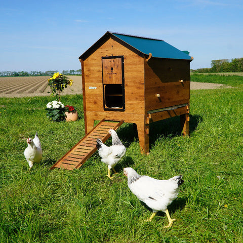 Chalet 2XL kippenhok voor 8 tot 10 kippen met legnest en stijlvolle houtlook afwerking. buiten zijaanzicht