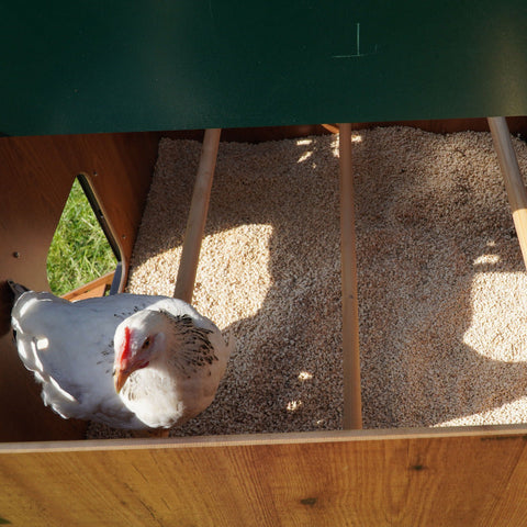 Cucciolotta Polly Duplex Kippenhok binnenkant