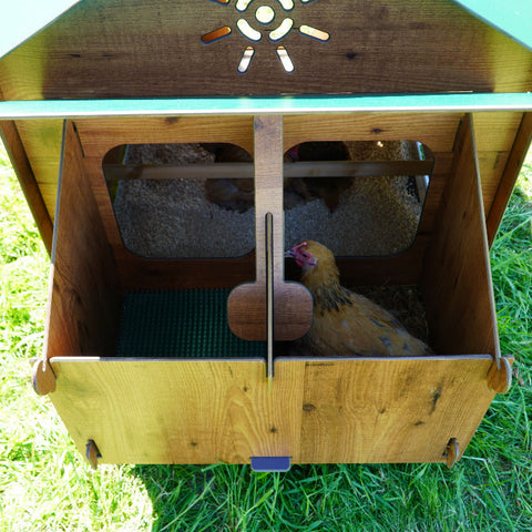 Kippenhok Polly Classic XL binnenkant 