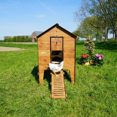 kippenhok met onderstel zijaanzicht cucciolotta classic 