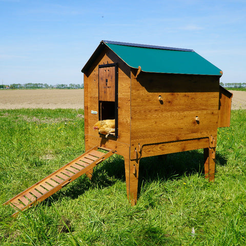 kippenhokbuitenoppootjescucciolotta