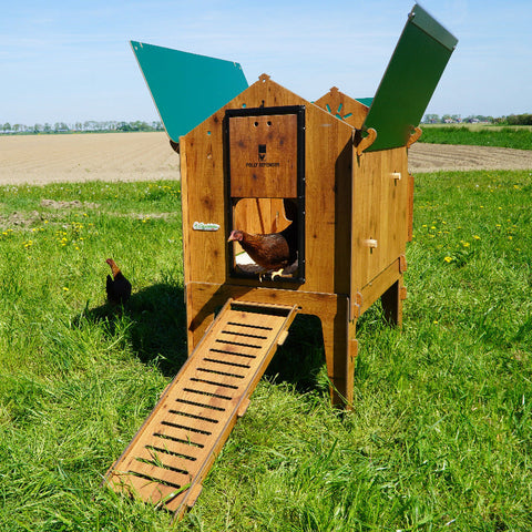 Cucciolotta classic L kippenhok buiten voorkant dak opengeklapt