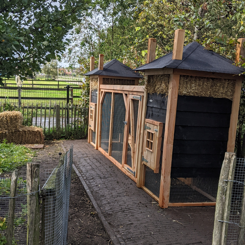 Kippenhok Hooiberg Carlo - Geïnspireerd door Carlo Boszhard