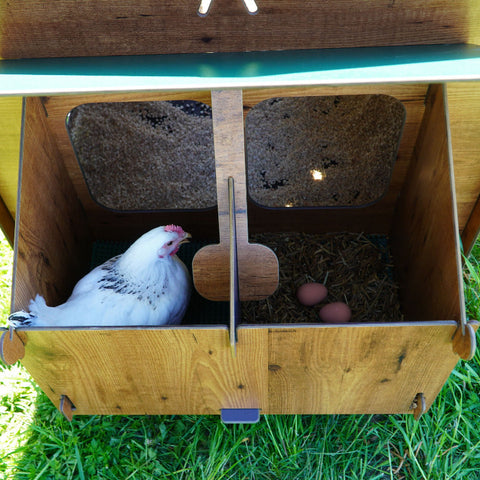 kippenhok polly classic anti bloedluis cucciolotta  legbak kippen