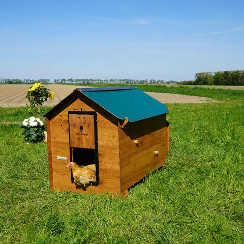 Kippenhok Polly Classic XL buiten zijaanzicht